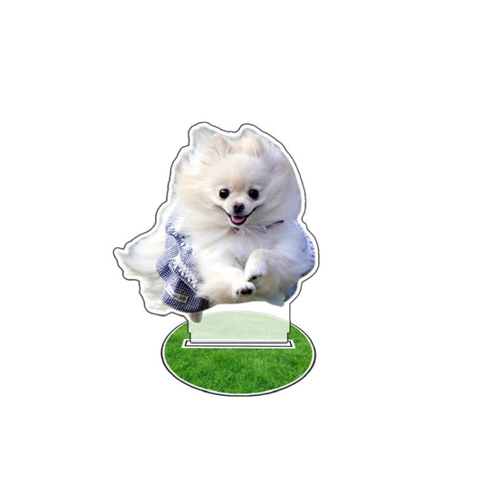 momi アクスタ