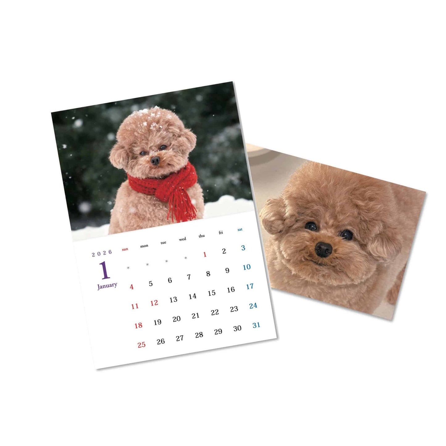 むぎ2026壁掛けカレンダー