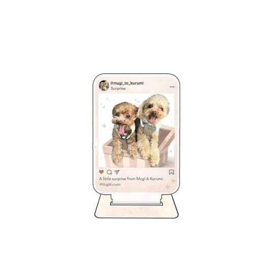 Mugi&Kurumi アクスタ