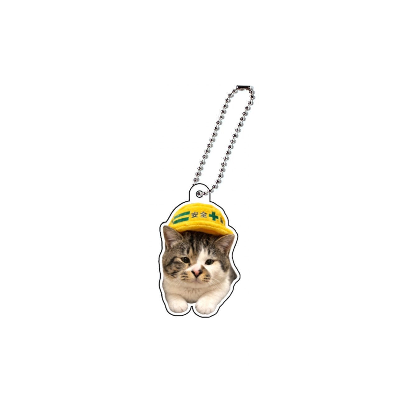 【限定】アクキーA