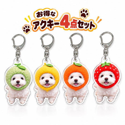 秋限定アクキーセット