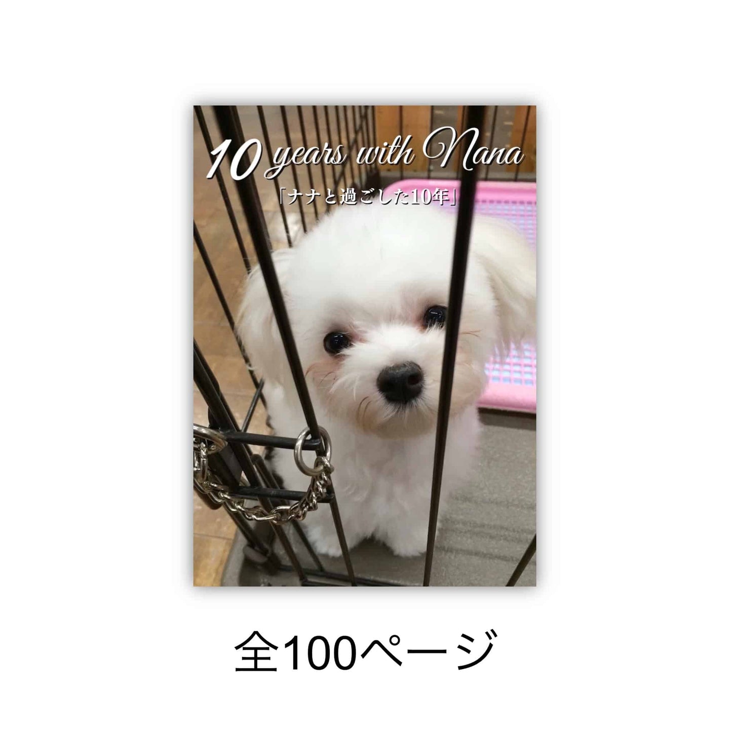 マルチーズのナナ写真集「10 years with Nana ナナと過ごした10年」