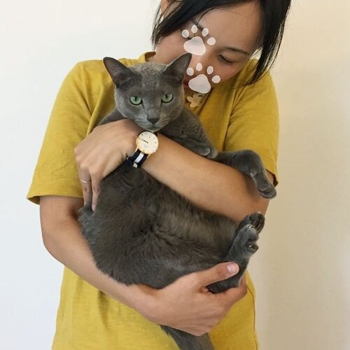 ねころぐ