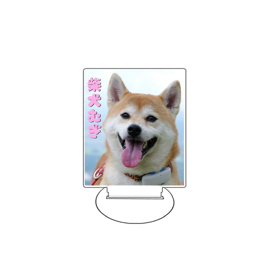 むぎアクスタA