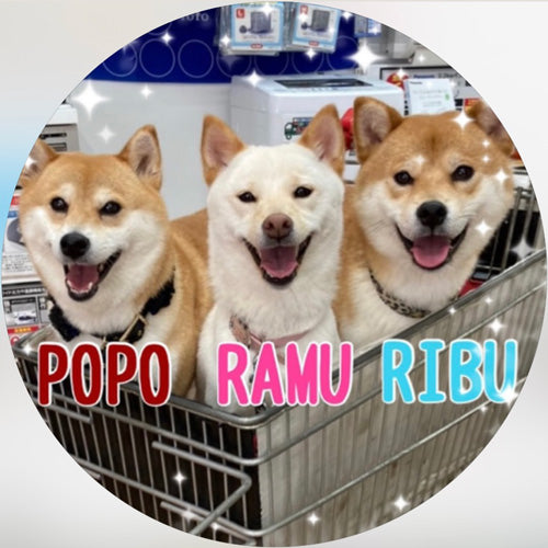 ポポリブラム