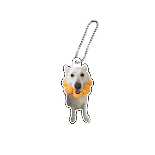 れおアクキー①