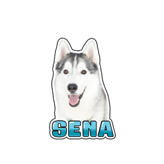 SENA ステッカー