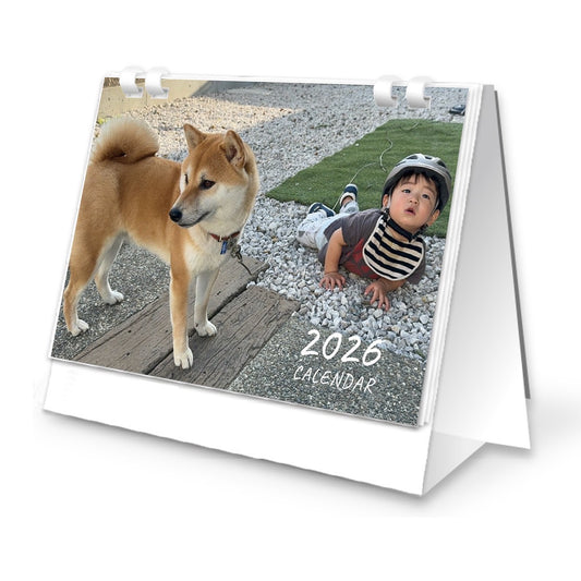 柴犬おいもと坊っちゃん 2026卓上カレンダー
