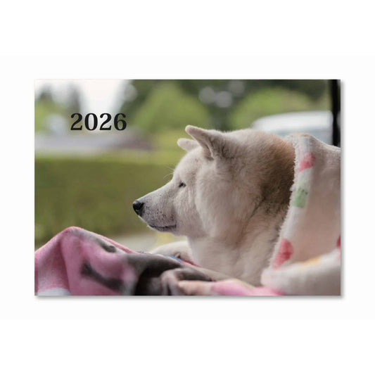 2026壁掛けカレンダー