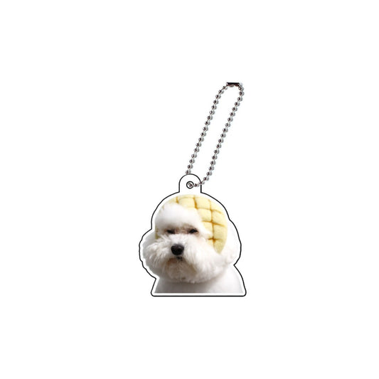 アクキーA