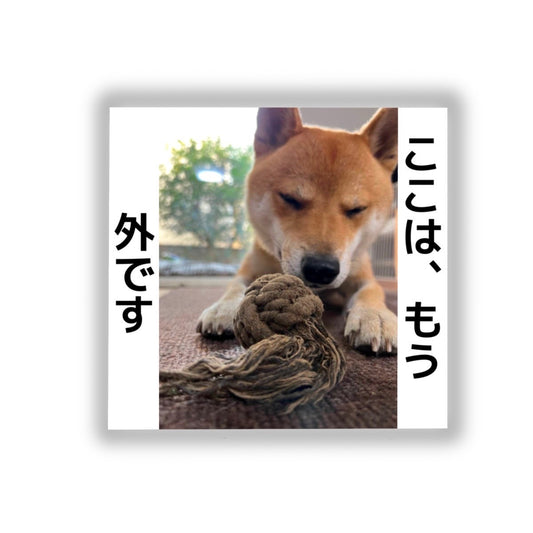 柴犬とんステッカーB