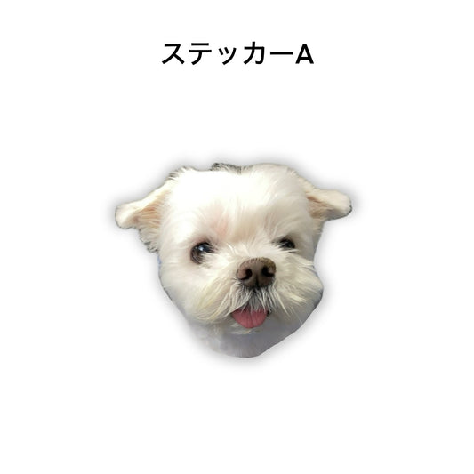 Nanatese ステッカー