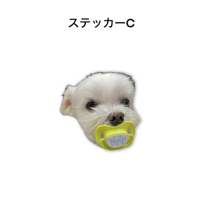Nanatese ステッカー