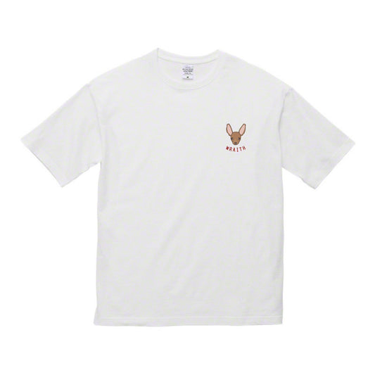レイスTシャツ