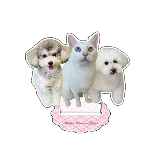 てまり らふ ビスコ アクスタ