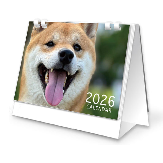 柴犬とん2026卓上カレンダー