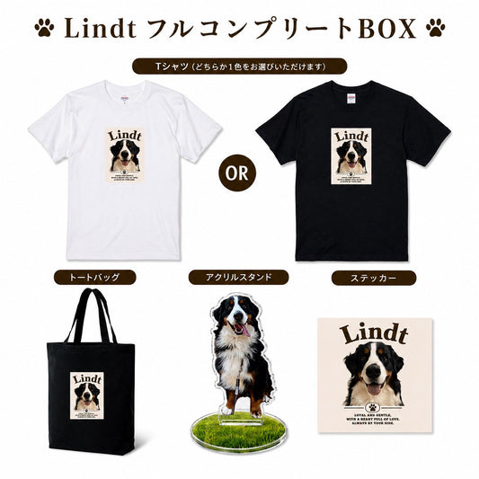 LindtフルコンプリートBOX